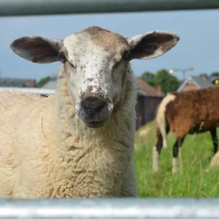 Apartman Deichblick *