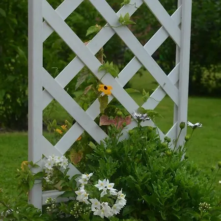 Deichblick Apartman Wischhafen