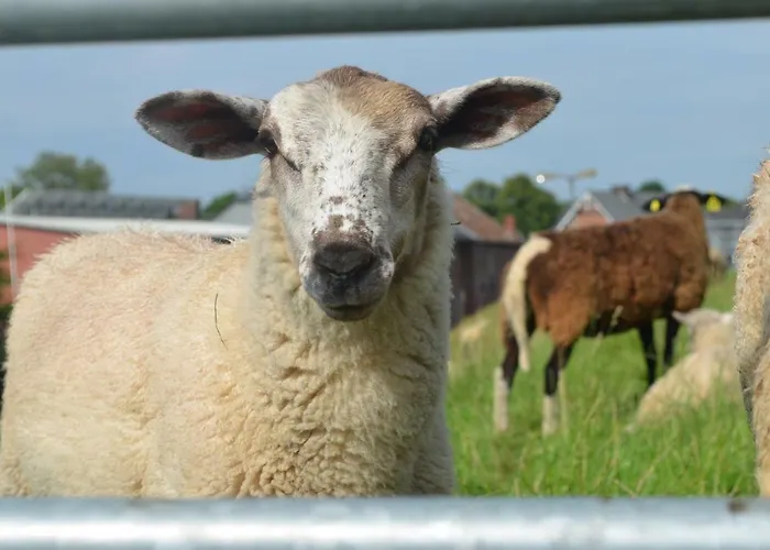 Appartement Deichblick *
