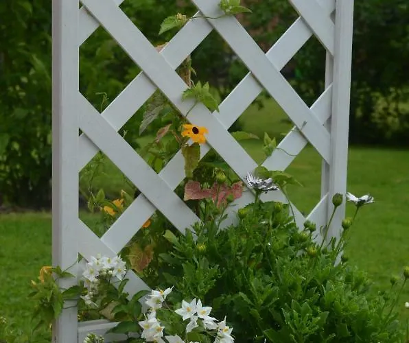 Deichblick Appartement Wischhafen