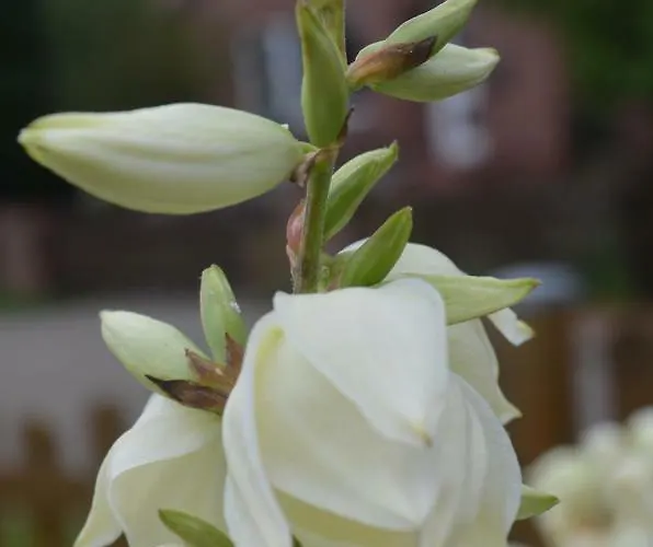 Appartement Deichblick *
